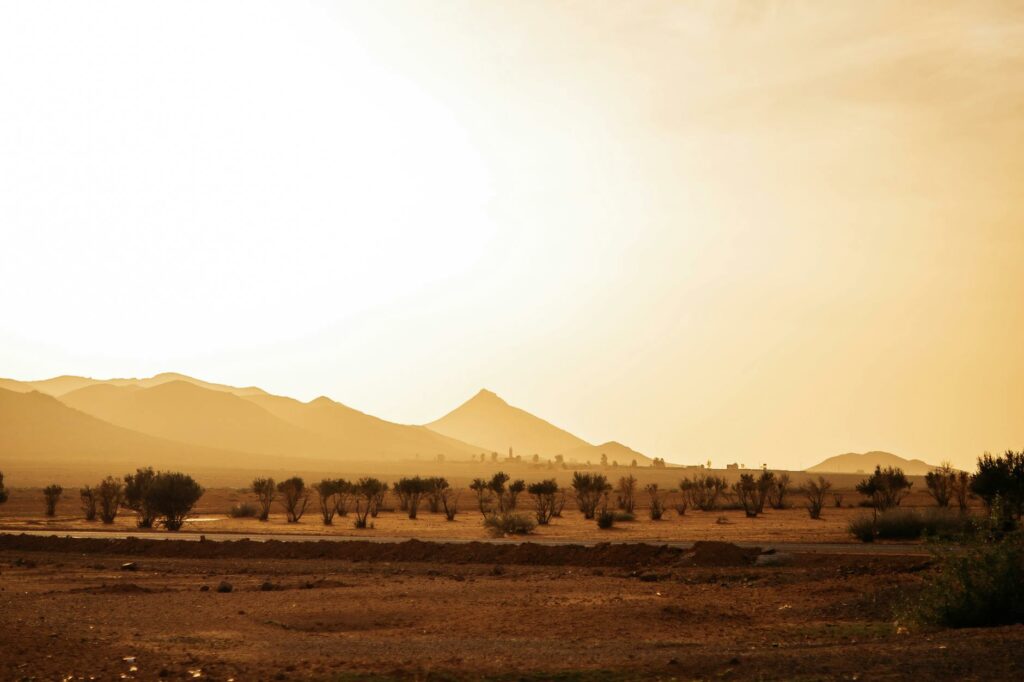 desert landscape with trees and hills at sunset
